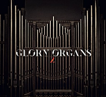 DJ 1Truth Glory Organs 2 WAV